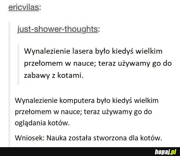 Koty rządzą światem