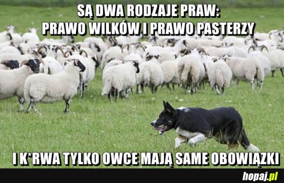 Dwa rodzaje praw