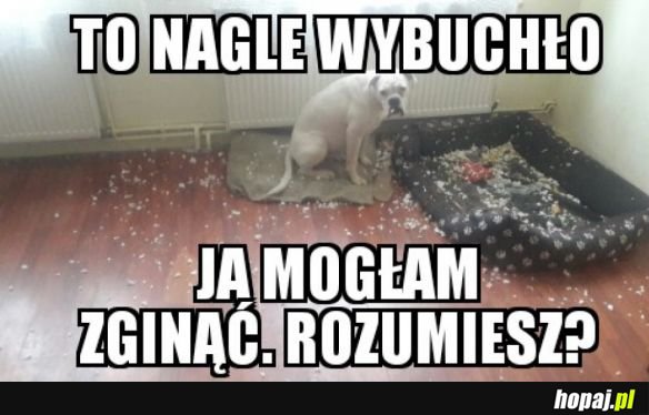 NIEWINNA
