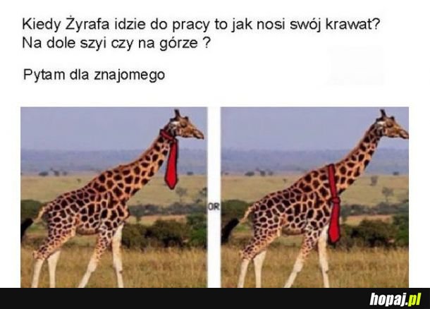 Ktoś zna odpowiedź?