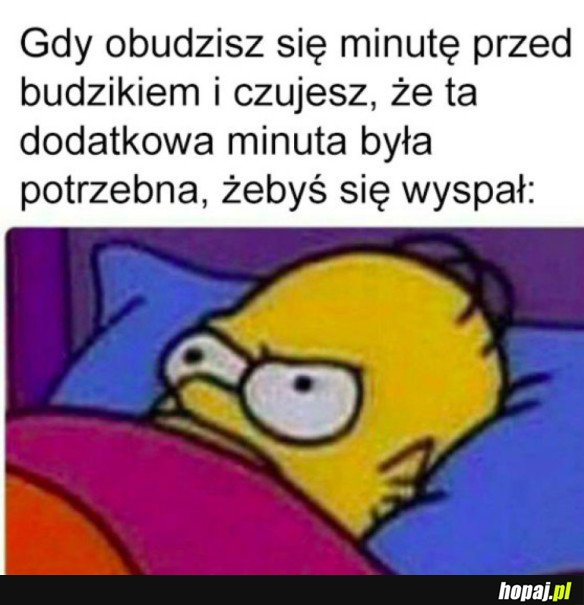 POBUDKI TAKIE SĄ