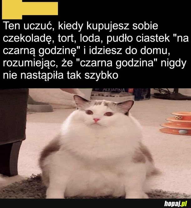 Na czarną godzinę