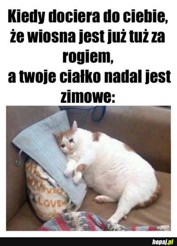 WIOSNA ZA ROGIEM