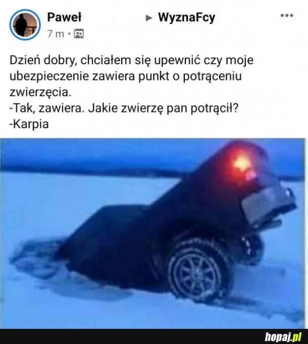 Ubezpieczenie