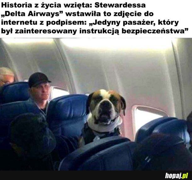 Jedyny odpowiedzialny pasażer 