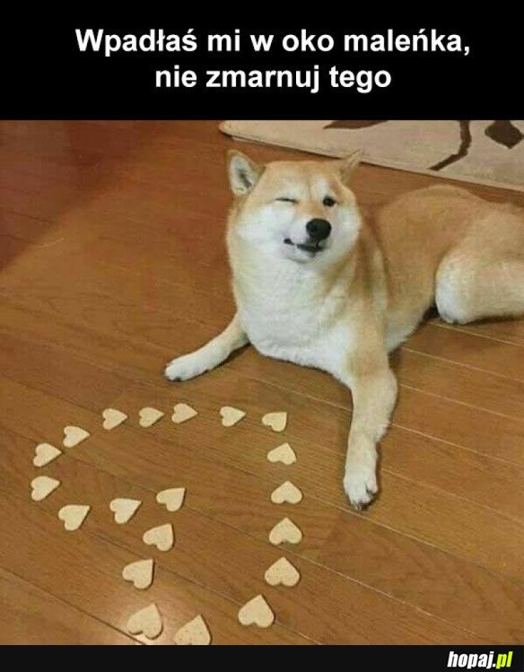 LOVE PIESEŁ