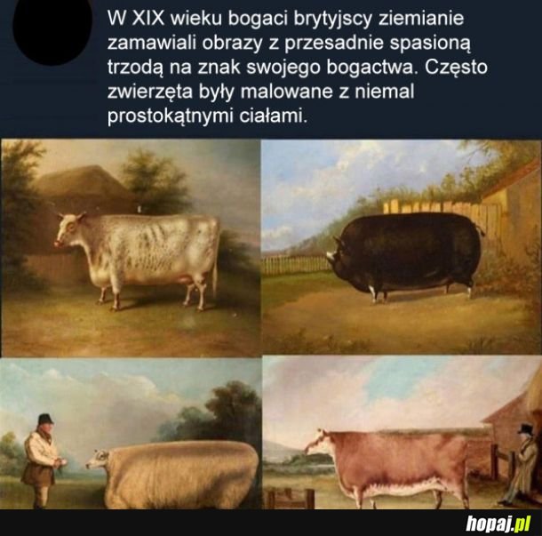 Kiedyś to było