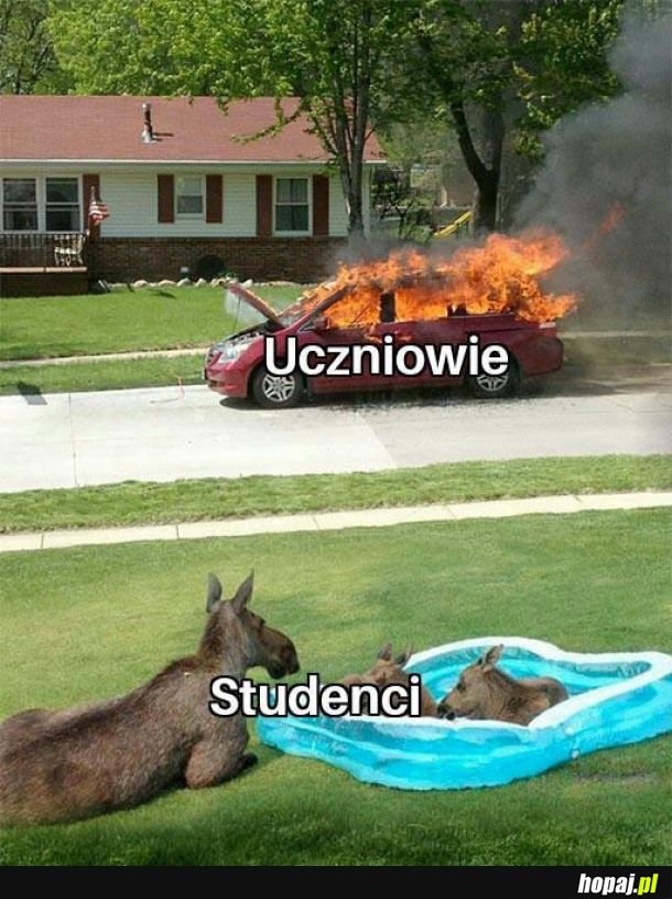  Tak to wygląda 