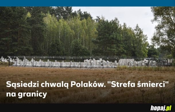 W Polsacie memy same się robią xD odc. 3