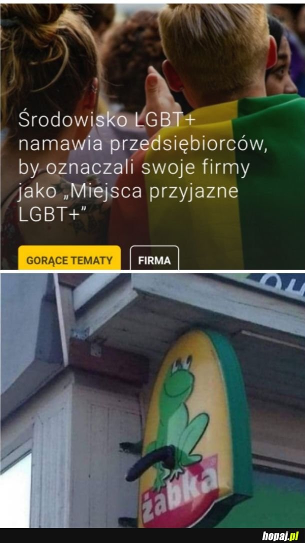 Środowisko LGBT+