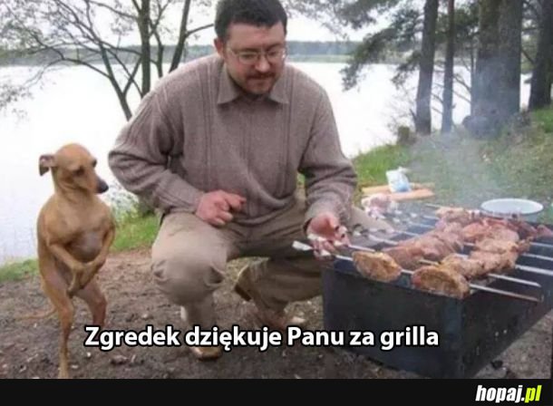 Zgredek