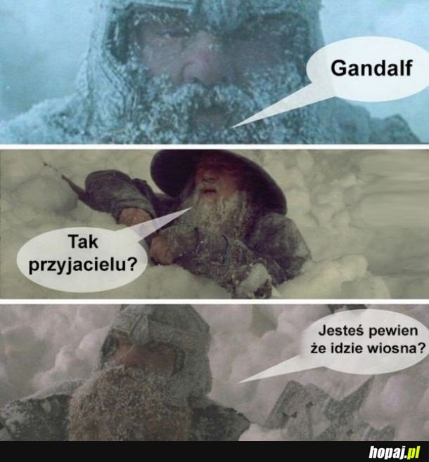 Coś nie tak Gandalf