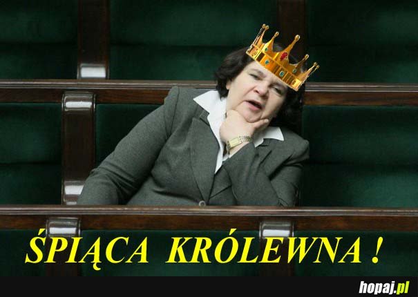 ŚPIĄCA POSŁANKA