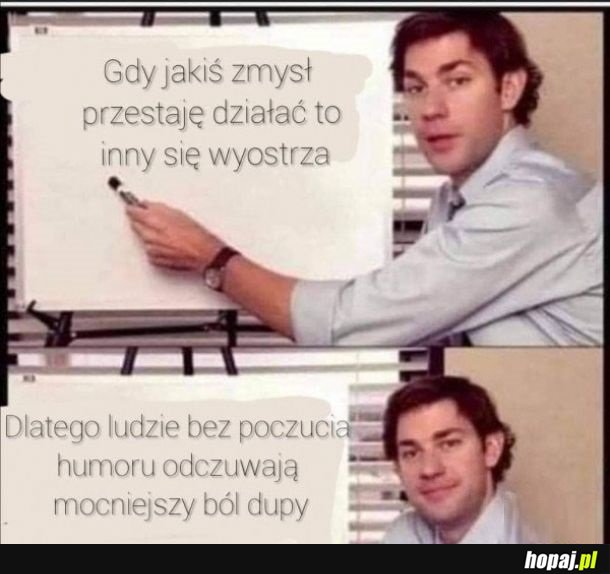 Zmysły