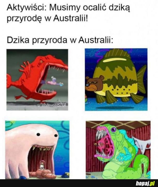 Przyroda w Australii