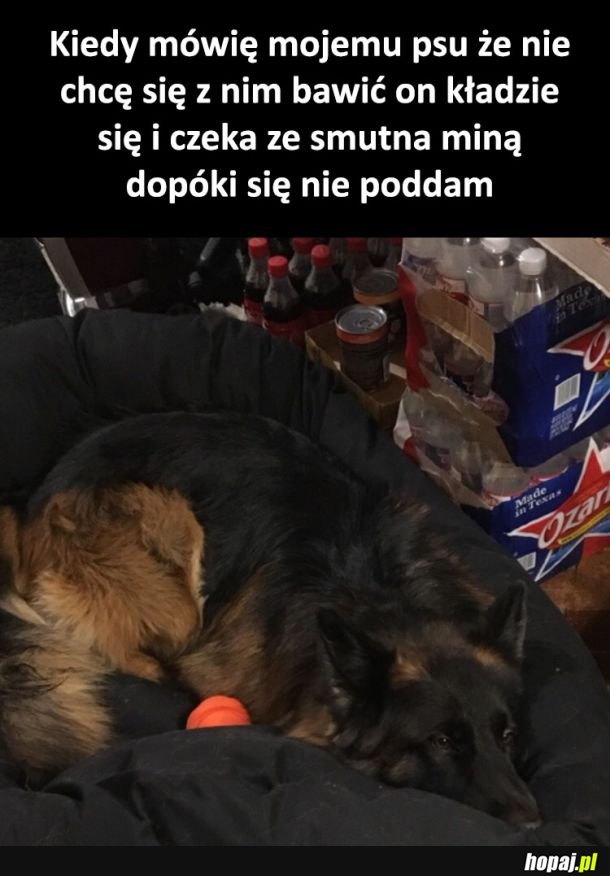 Piesku przestań