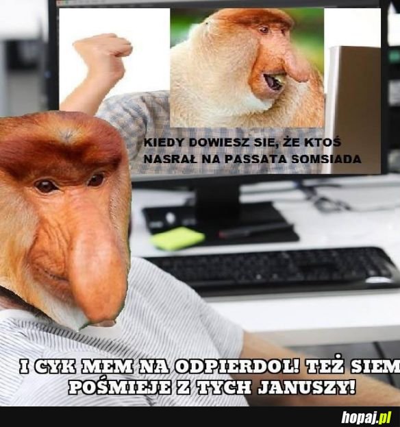 Jakościowy memik