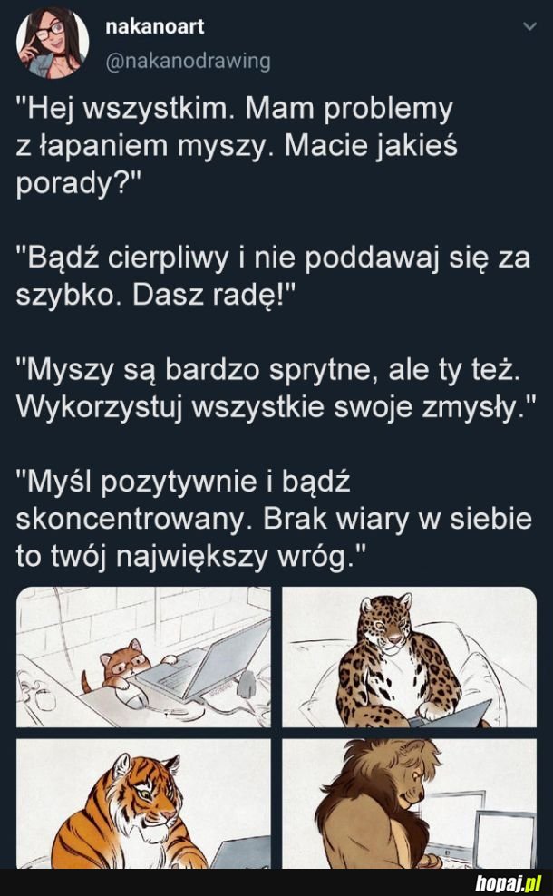 Każdy czasem tego potrzebuje