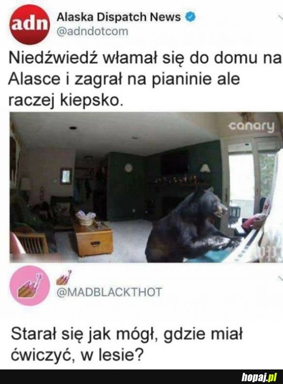 Misiek