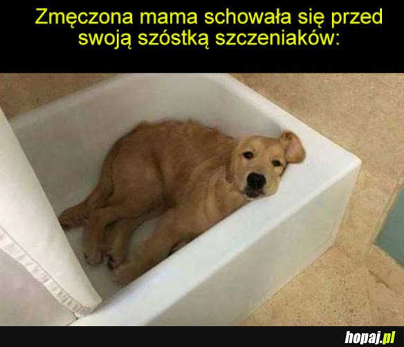 ZMĘCZONA MAMA PIESEŁ