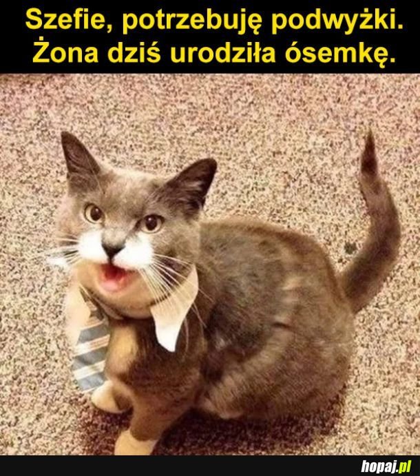 Podwyżka