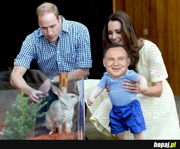 ROYAL BABY POCZĘTE W POLSCE