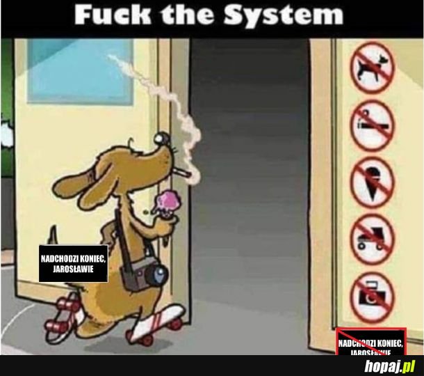 F**k the system