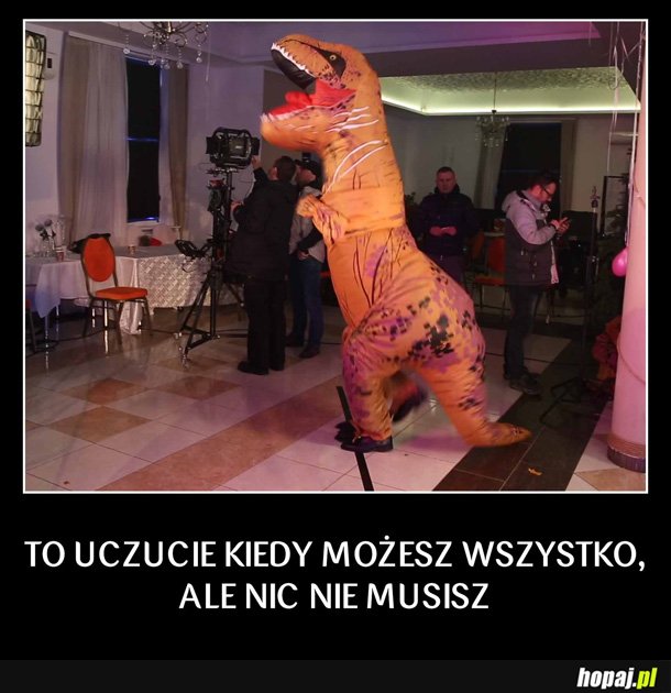 Nic nie musisz