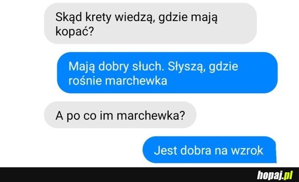 Wzrok