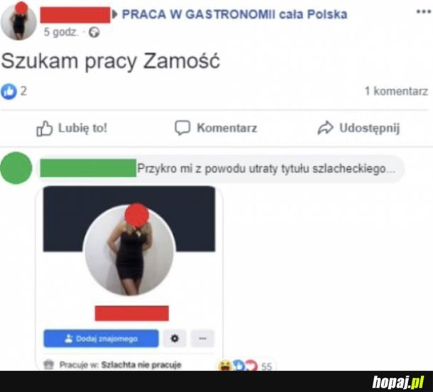Szlachta nie pracuje