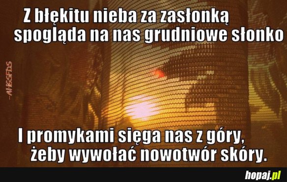 GRUDNIOWE SŁONKO