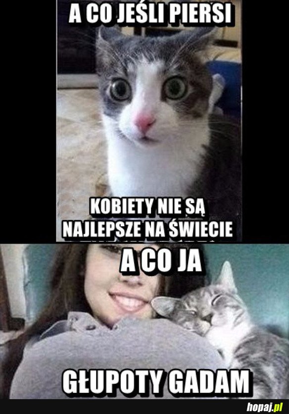 Co ten koteł?