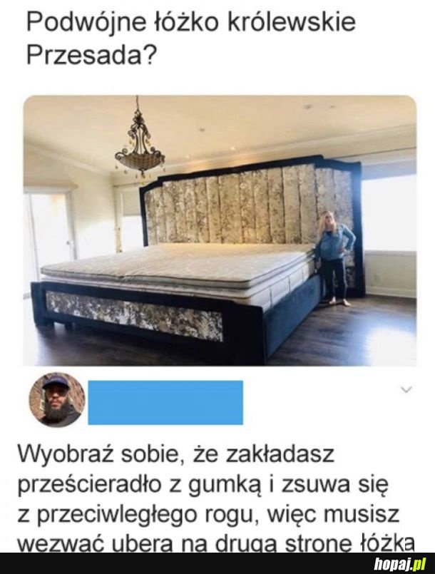 Pomysły bogaczy