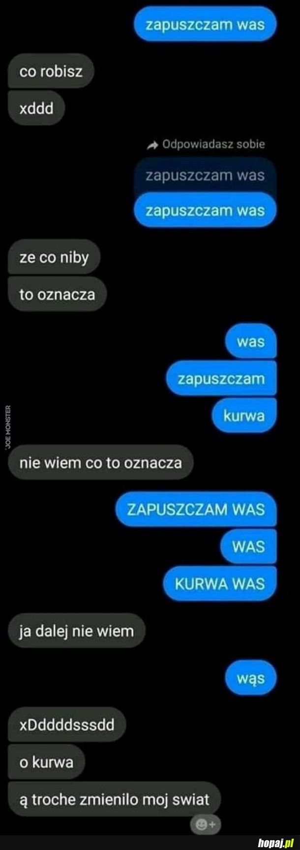 Co zapuszcza?