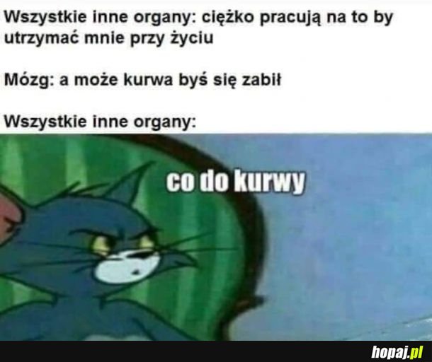 Mózg...