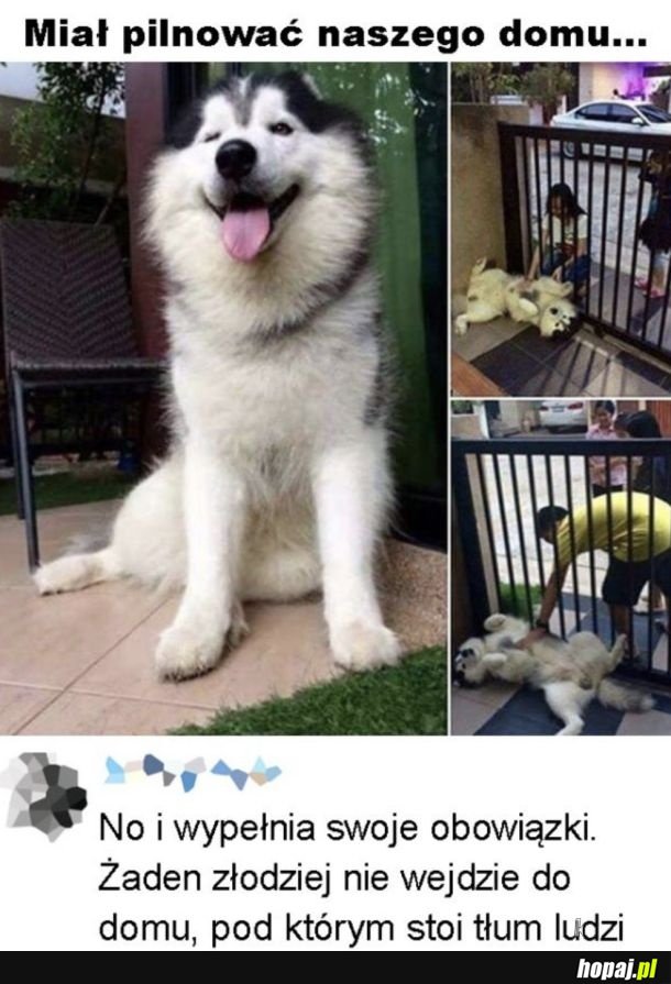 Pilnuje na swój sposób