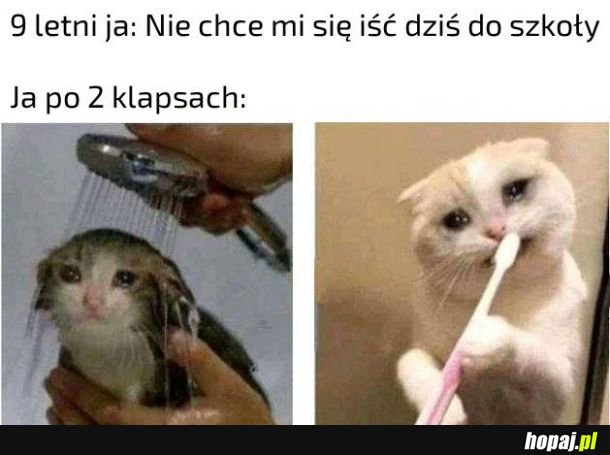 Zmieniłem zadnie