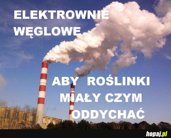 ELEKTROWNIE WĘGLOWE
