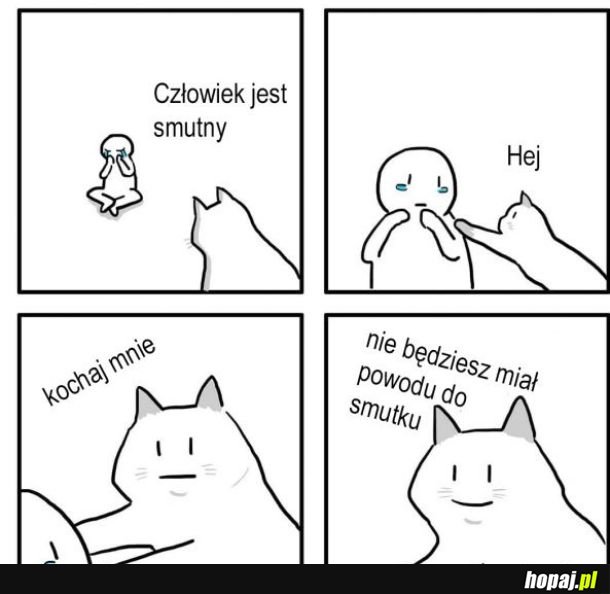 Pocieszyciel