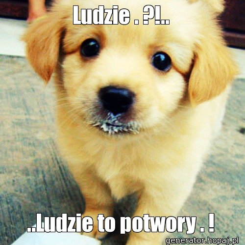 Ludzie . ?!..