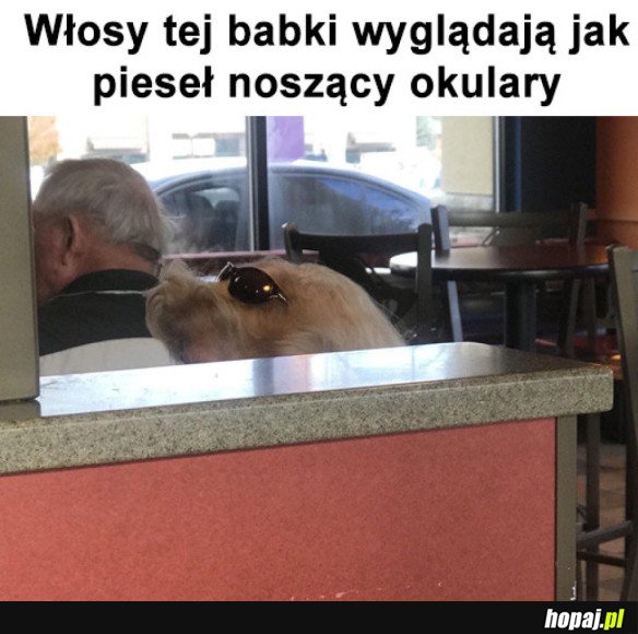 PIESEŁ