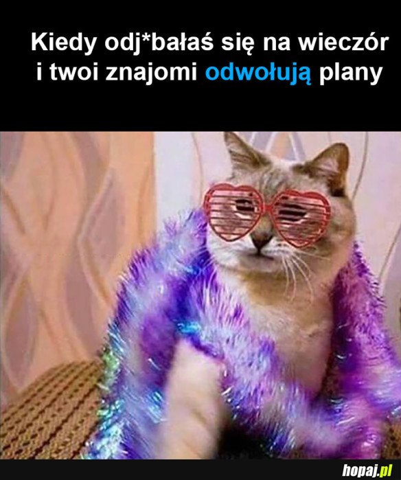 KONIEC ZNAJOMOŚCI