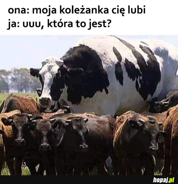 Moja koleżanka