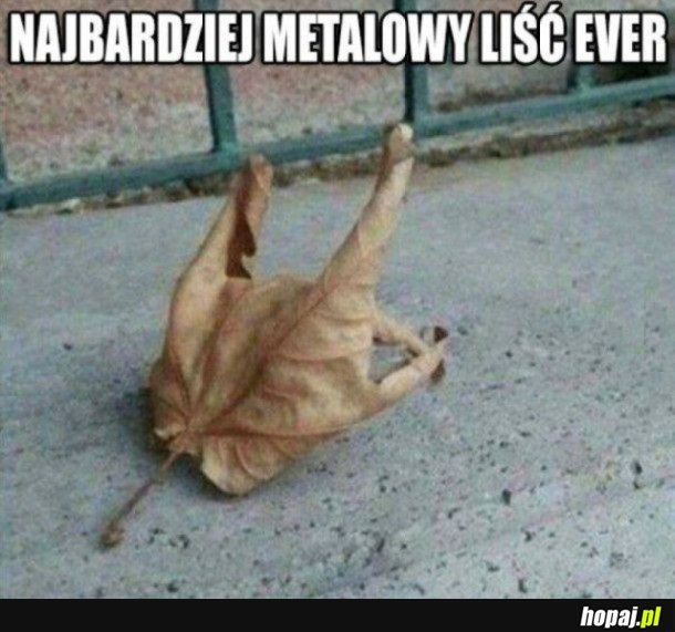 METALOWY LIŚĆ