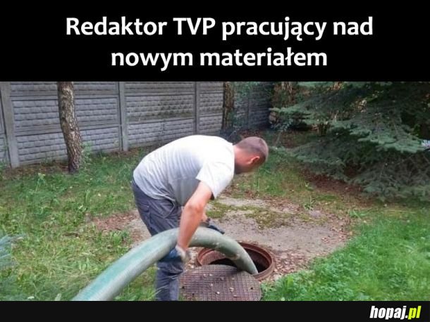 TVP