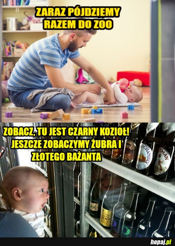 Pójdziemy do zoo