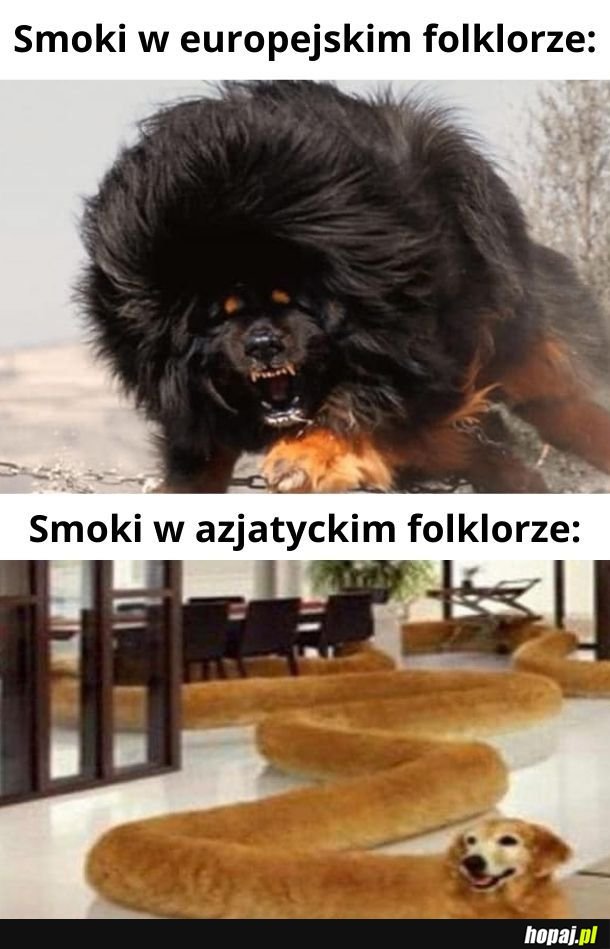 Smoki