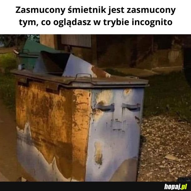 Zasmucony śmietnik