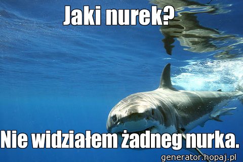 Jaki nurek?