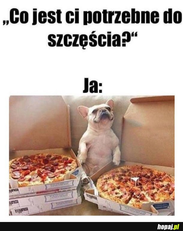 TAK WYGLĄDA SZCZĘSCIE